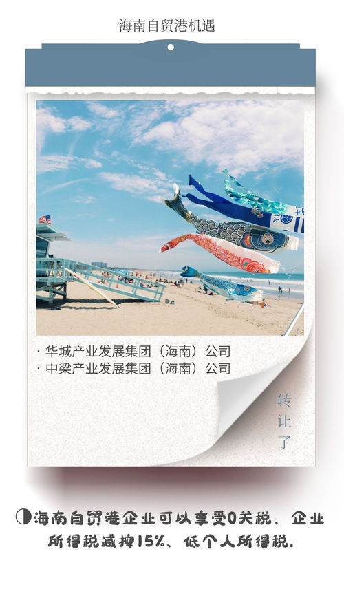 海南自贸港文旅集团和德国企业对比,税收优势明显